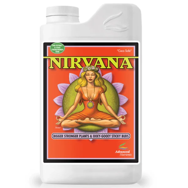 Nirvana